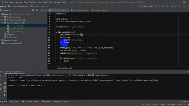 02 video capture writer смотреть онлайн