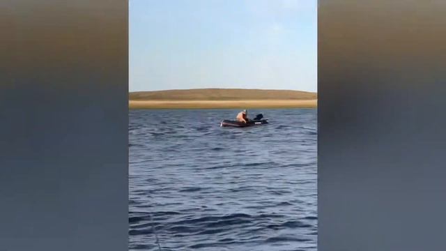 Ахтуба смотреть онлайн