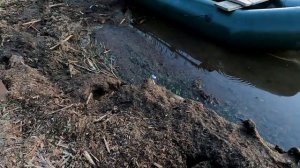 Гребная лодка ЛОЦМАН С-258. Пять лет эксплуатации.