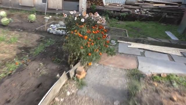 Домашний стол для всех 