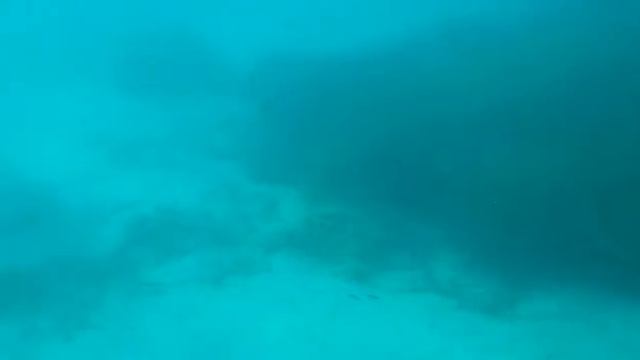 Подводное плаванье. Черногория, Будва. смотреть онлайн