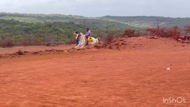 Khatib bhai from gulbarga enjoying self ride on dj raees смотреть онлайн