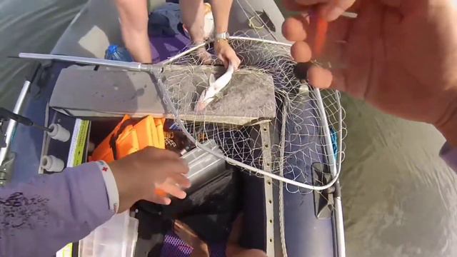 Проведали знакомые точки с напарником! Нижнекамское водохранилище. смотреть онлайн