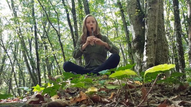 Вистл  CLARKE ирландский народный инструмент ( CLARKE - английская фирма).