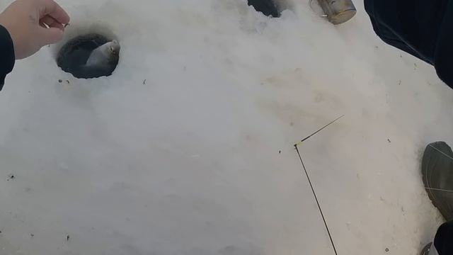 Зимняя рыбалка 2021. Макаровское водохранилище- клев на ура!!! смотреть онлайн