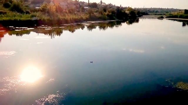 Волгоградская область Городище Городищенский район Мокрая Мечётка