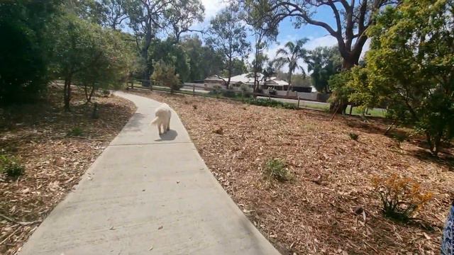 My In-laws Beautiful Garden// Sarah G. Smith смотреть онлайн