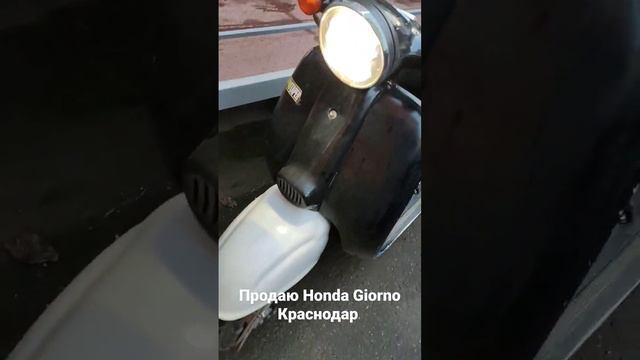 Продаю скутер Honda Giorno 89002544549 #мопед #hondagiorno #хондаджорно #скутеркраснодар смотреть онлайн