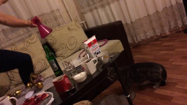 Сторожевой кот смотреть онлайн