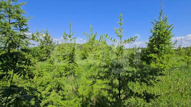 регион 16, участок 1438 смотреть онлайн