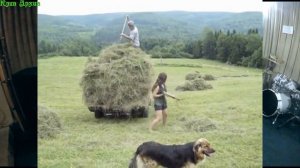 Сектор Газа. Клип "Ой Ты Травушка Зеленая." Лучший Кавер За Все Время. Аня Касьянова.