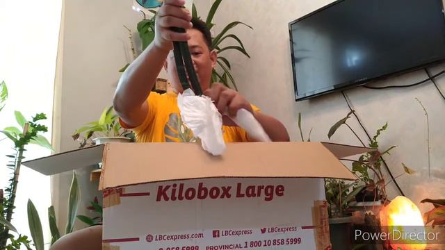 plant unboxing featuring sanseveria collection смотреть онлайн