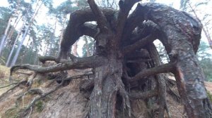 Рязань. Солотча. Лысая Гора