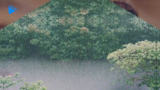 8 класс - География - Разнообразие внутренних вод России. Реки смотреть онлайн