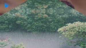 8 класс - География - Разнообразие внутренних вод России. Реки