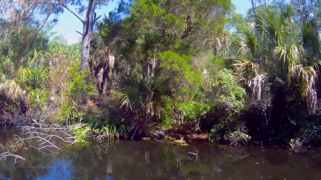 Homossas Springs The boat ride into the park part 1 смотреть онлайн