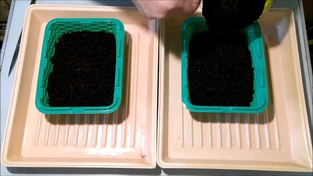 Теплички для аквариумных растений смотреть онлайн