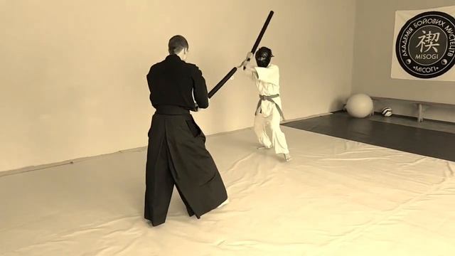 Aikido shinai fighting (slow motion) смотреть онлайн