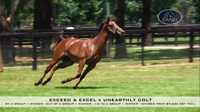 Exceed and Excel x Unearthly video смотреть онлайн