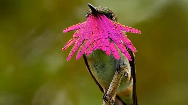 Ошо, Часть - 08. Внутренний свет, озвучивает Nikosho.