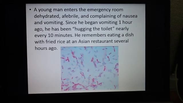 Viridans streptococci, Bacilli Cereus, Bacilli Anthracis смотреть онлайн