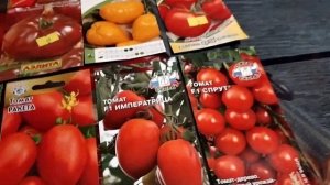 Мои лучшие сорта томатов для подмосковья. Принцип отбора