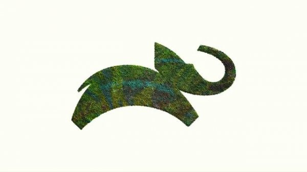 Заставки Animal Planet