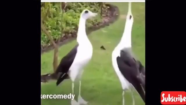 Tony Baker Best Voiceovers смотреть онлайн