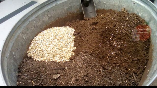 КАК ПРИГОТОВИТ ИДЕАЛЬНЫЙ СОСТАВ ПОЧВЫ ДЛЯ РАССАДЫ.ЧЕМ  ОБЕЗЗАРАЗИТЬ ОТ ВРЕДИТЕЛЕЙ И БОЛЕЗНЕЙ