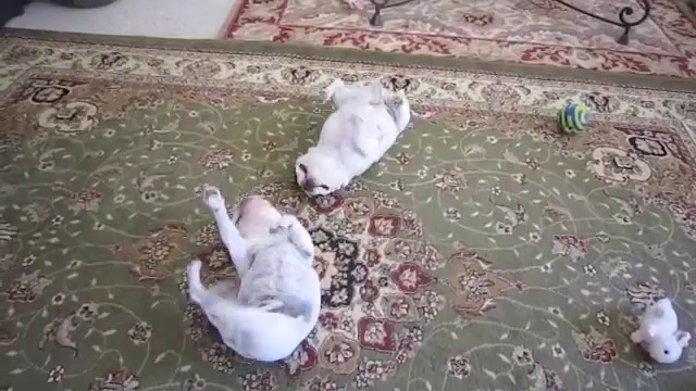 Танцуем твист смотреть онлайн