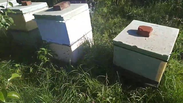 Главный взяток наконец то стартовал))) смотреть онлайн