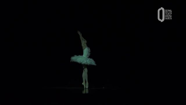 Сен-Санс | Умирающий лебедь | Пермский театр оперы и балета смотреть онлайн