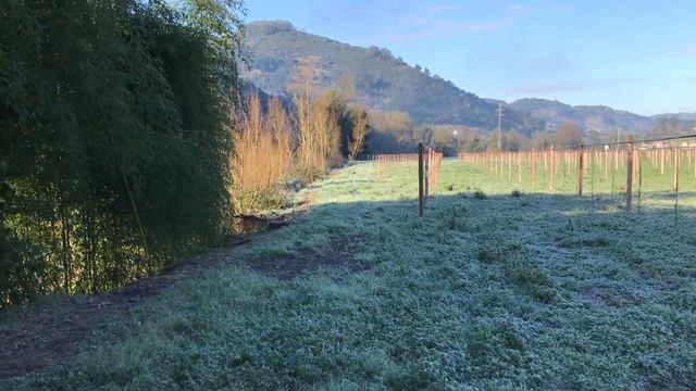 СУПЕР! KIWI ХЭЙВОРД ИСПАНИЯ 4, (Мороз в Испании...) смотреть онлайн
