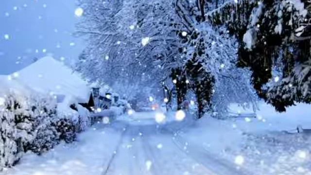бяла коледа смотреть онлайн