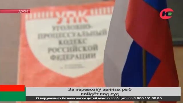 За владение сибирским осетром житель Белоярского района пойдёт под суд смотреть онлайн