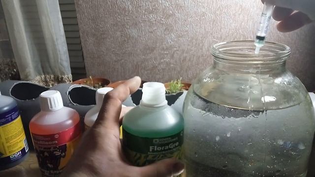 Приготовление раствора из удобрений Flora смотреть онлайн