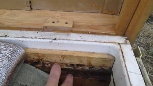 Улей из холодильника