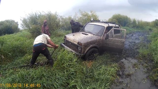 Аткуль.Река Каргат. По болоту на нивах Часть 8 смотреть онлайн
