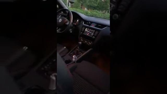 Skoda Octavia RS 4x4 смотреть онлайн