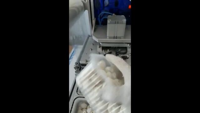 Автоматический запайщик лотков (трэйсилер) INOVAC-304 смотреть онлайн