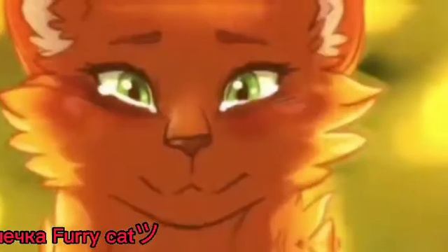 Огнезвёзд и Песчаная Буря 💃Не пускайте Танцевать🖤 смотреть онлайн