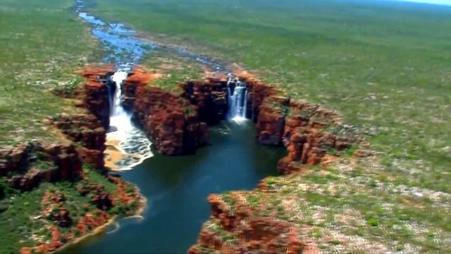 Хилодонеллы