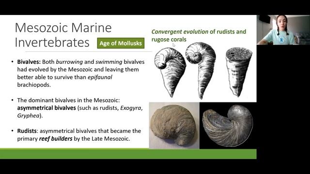 Mesozoic Era- Geologic & Biological Evolution and Extinction of Dinosaurs | GEO GIRL смотреть онлайн