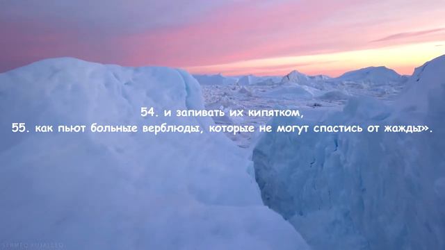 Красивое чтение Коран ислам субхи |событие смотреть онлайн