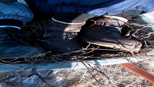 КАК ЖЕ НАМ НАЙТИ ЧИЛИГУ В ДЕРЕВНЕ НА ВЕНИКИ? ПОМОШНИКИ ВНУКИ смотреть онлайн