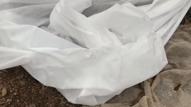 Дачная жизнь / рассада рассаживаю пересаживаю / посевы смотреть онлайн