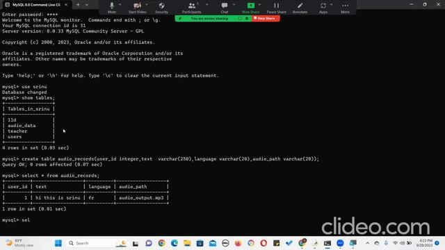 Python project with TKinter and MySQL connection смотреть онлайн