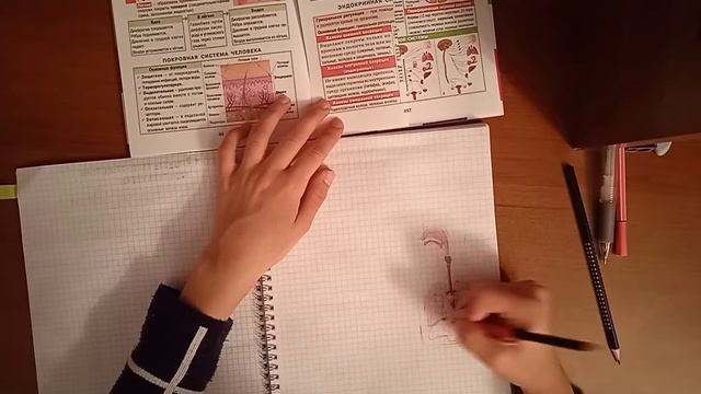 КАК БЫСТРО СДЕЛАТЬ УРОКИ? // советы для учёбы // лайфхаки для школы✨ смотреть онлайн