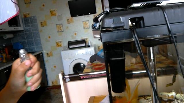 Замораживаем лаву-лампу и выращиваем орбис смотреть онлайн