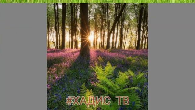 КАКИЕ БЫВАЮТ ФАРЗЫ ТАХАРАТА? смотреть онлайн